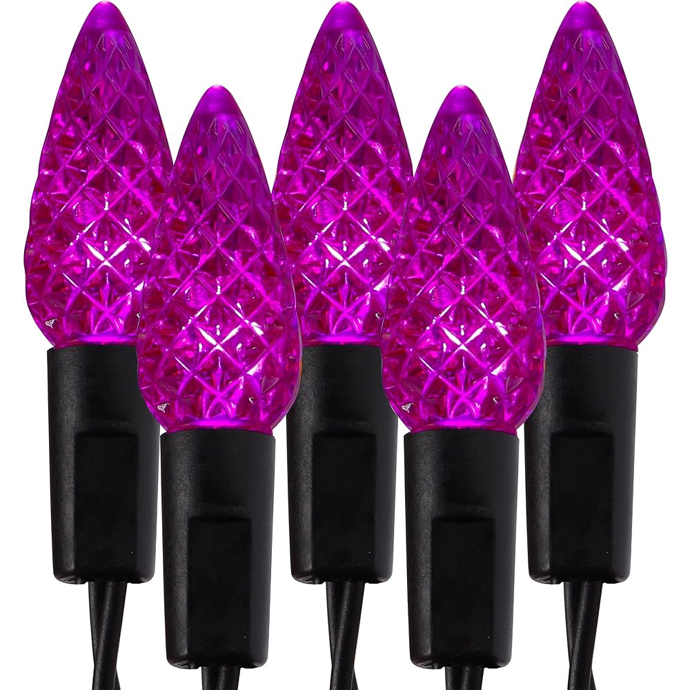 WATERGLIDE Halloween C6 String Lights, 33ft 100 LED Black Wire Fairy Lights with 29V Safe Adaptor, 8 Lighting Mode, Waterproof for Indoor Outdoor Patio Xmas Tree Party Decor, Purple